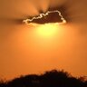 lespurr's profile picture. Here to stay; RT’s not endorsement; No Libtard BS. Music 4 sure. Vitamin Sea.