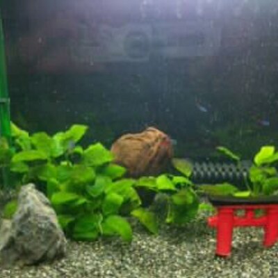 あゆみ Kuma Neko こんばんは あー それ気持ちいいんですが 何度か湯船の中で眠りこんでゾッとしたことがある身としては 電気を消すときにはキャンドルをオススメします 炎がゆらゆらして気持ちいいですよ あゆみ Kuma Neko こんばんは あー それ気持ちいいんですが 何度か湯船の中で眠りこんでゾッとしたことがある身としては 電気を消すときにはキャンドルをオススメします 炎がゆらゆらして気持ちいいですよ
