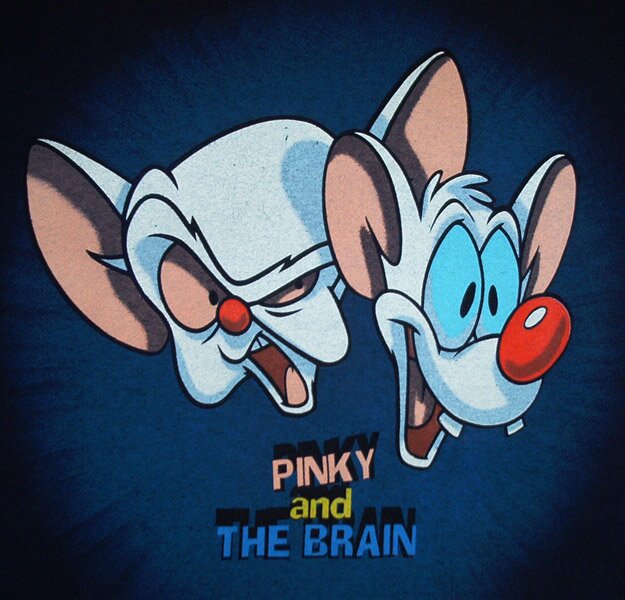 pinkyyelcerebro's profile picture. Vamos a conquistar el mundo!!!