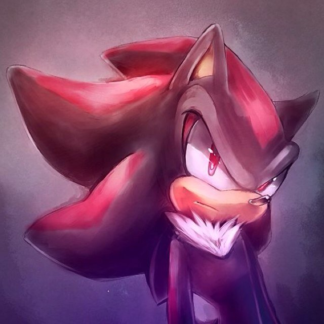 I'm Shadow, Shadow the Hedgehog. Gerald Robotnik's experiment from 1932 to form the DNA needed to cure terminal disease and create an Embodimemt of Chaos.