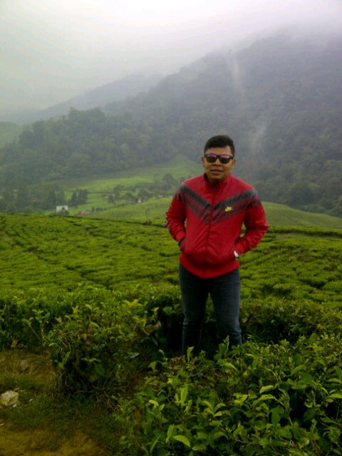 donaldogaucho's profile picture. sageru terus