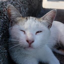 JayWang33064681's profile picture. 不正常儀器自造者