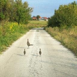 johnmanee7's profile picture. 