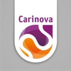 Carinova is actief op drie zorggebieden: Thuiszorg, Woonzorg en Huishoudelijke Hulp. Carinova is hoofdzakelijk werkzaam in Zuidwest en Noord Overijssel.