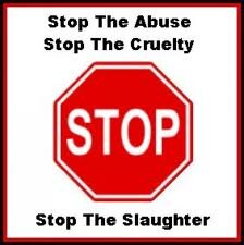 Animal cruelty is not right and must be stopped! We cannot turn our backs on these poor animals that need our hep! Help put a stop to animal cruelty!