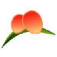 🍍沖縄からのおくりもの🍍 (@okinawa_gift) Twitter profile photo