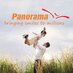Panorama Group (@panoramarec) Twitter profile photo