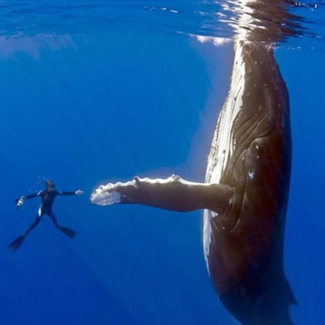 Follow @OhThatsAmazing to see the best pictures on Twitter! **We do not claim the rights to any of these photos**