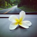 Bonnie Moses - @subwaygal2 - Twitter