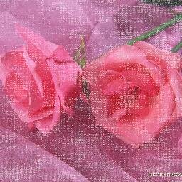http://t.co/Hrhd2Is2tn