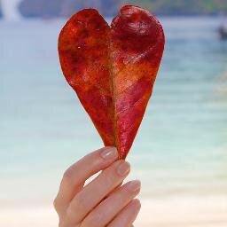 Jomblo atau Jomblo Move On pasti pernah Merasakan Cinta ... tweet disini bakal bikin loe lebih Merasakan Cinta