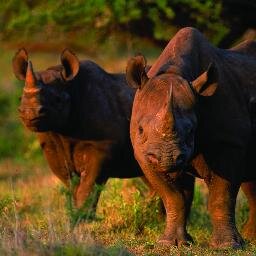 Scientific Services | Ezemvelo KZN Wildlife | Science and Planning to guide Biodiversity Conservation action | Conservation Symposium