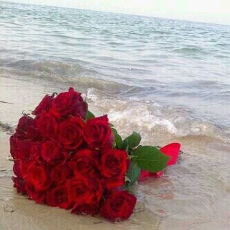 ‏أرَى فِي حَدِيثُك مَ يجعلُنِي أعشَقكِ للأبَدّ ، فمَا بَالُك بِ لقَائِك ♚!