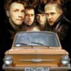 pleduscira's profile picture. Напиться, забыться, вспомнить,поржать