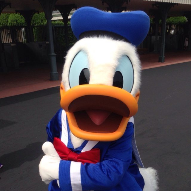 ディズニーシー、マリタイムバンド、ドナルドダック、ジェラトーニ、ふなっしー、ケロロ軍曹、聖飢魔Ⅱ