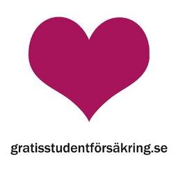 Som student vid ett svenskt universitet eller högskola är du, via en statlig olycksförsäkring, försäkrad under hela din studietid.