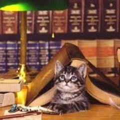 BeatrixPavlacko's profile picture. 