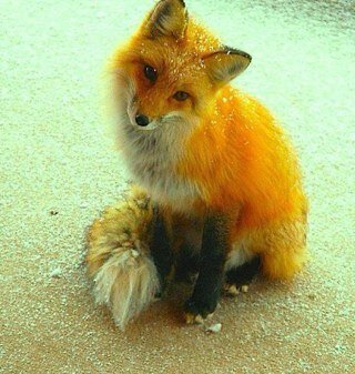 edlingpamela's profile picture. Humanist,Observer,Commentator.My views are my own.