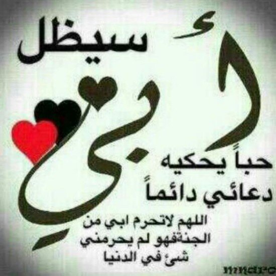 amal77856's profile picture. 