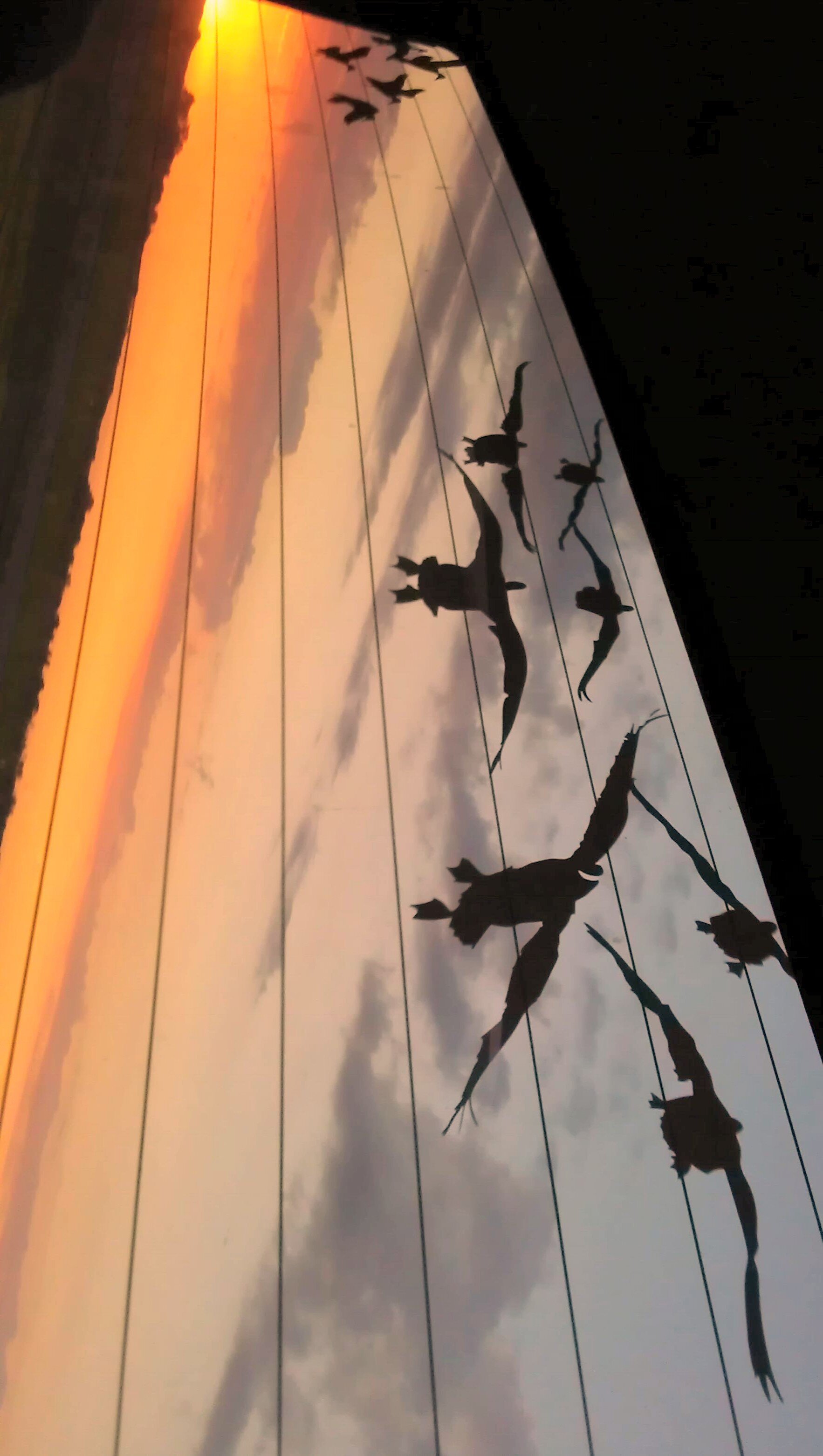 hannus010's profile picture. 