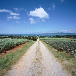南からの情報、旅行、スポット、美味いもの、見物、いろいろな情報を発信しています。