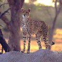 paul joubert - @paulnjoubert - Twitter