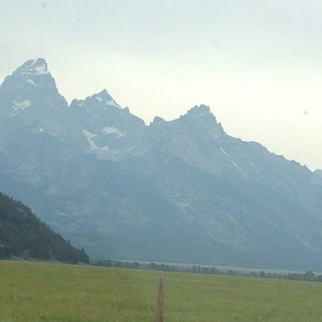 sshetron's profile picture. 