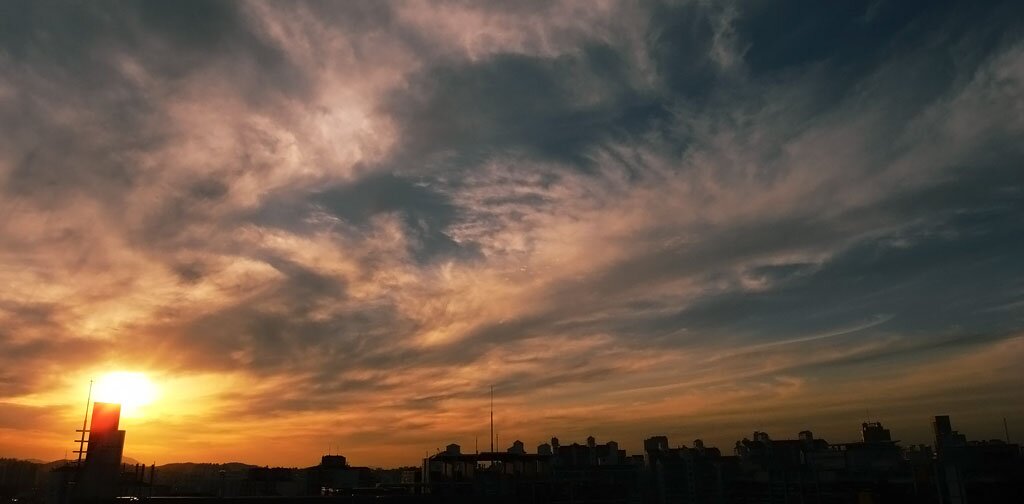 wsu1541's profile picture. 취미태권도 학력 미공개