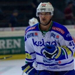 Forward for EC VSV