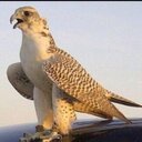 مشعل خالد (@13Mshalahmad) Twitter