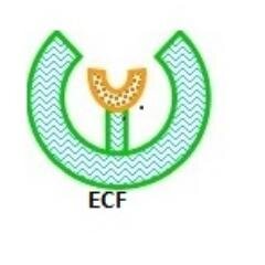 Edem Children Foundation (ECF) is a non-profit children assistance organisation. We work to promote the rights of children,women and young people in Africa.