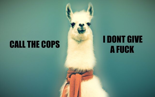 For the other mothers who just don't give a crap. Or anyone else for that matter.