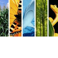 UCD BioSoc (@ucdbiosoc) 's Twitter Profile