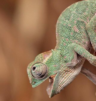 JoeJoejudge's profile picture. 