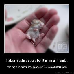 Soy fanático de twitter.