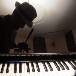 Pianiste belge spécialisé dans les premières formes de jazz ( ragtime, blues, boogie, Dixieland, swing )