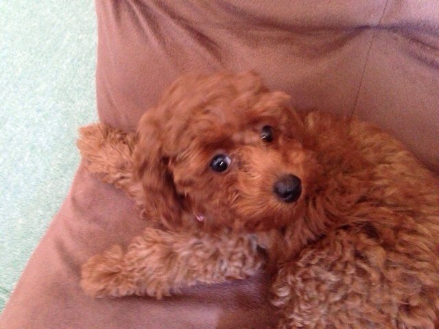 hhh0620shi's profile picture. 