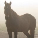 Vicki LeMaster - @lemaster305 - Twitter