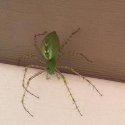 Mix_311's profile picture. It's all about the #technicalmojo, charts don't lie. I'm just a small time trader who watches a lot of charts daily.  I tweet my view, I'm wrong, and I'm right.