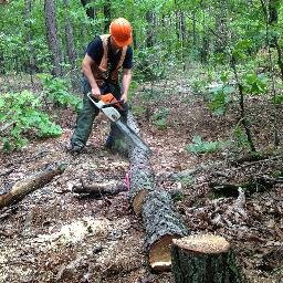 Twitter account for the University of Arkansas Forest Entomology lab.