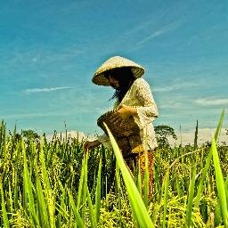 Suara Petani Muda