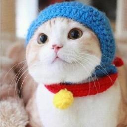 ぴりぽさんのプロフィール画像