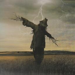 genaro_fierro's profile picture. 