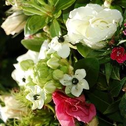 Floral musings from Tenterden based florist. Bespoke arrangements for all occasions, say no to 'off the shelf' bouquets.