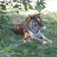 Jim Masters (@docjmasters) 's Twitter Profile