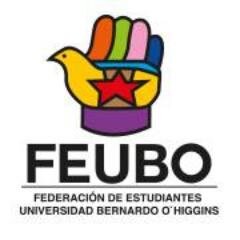 Federación de Estudiantes Universidad Bernardo O'Higgins. Generar participación y organización estudiantil es nuestro fin.