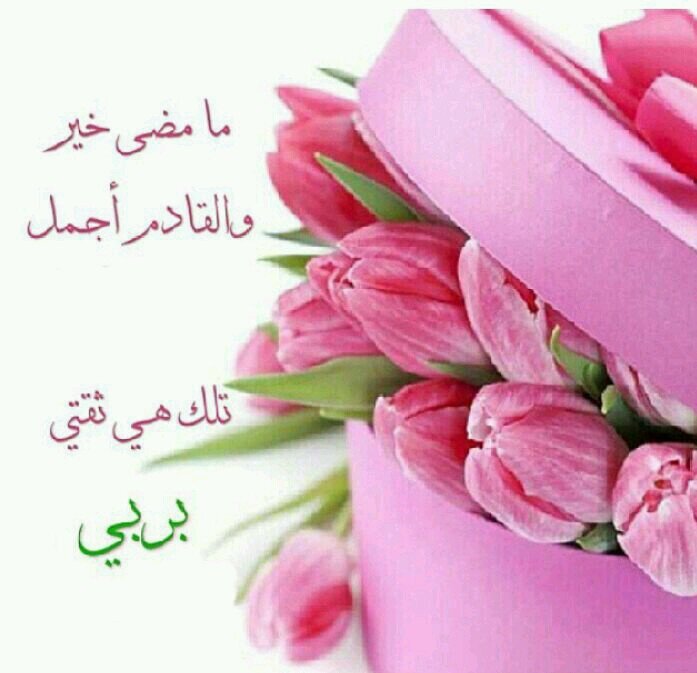 hanataleb72's profile picture. 