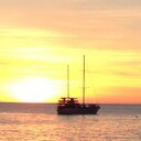 Peter McLellan - @Mocca274 - Twitter