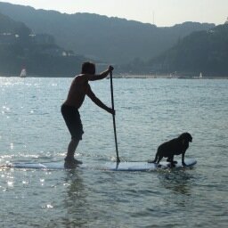 Flagshiprugby's profile picture. Professional Rugby agent, amateur philosopher