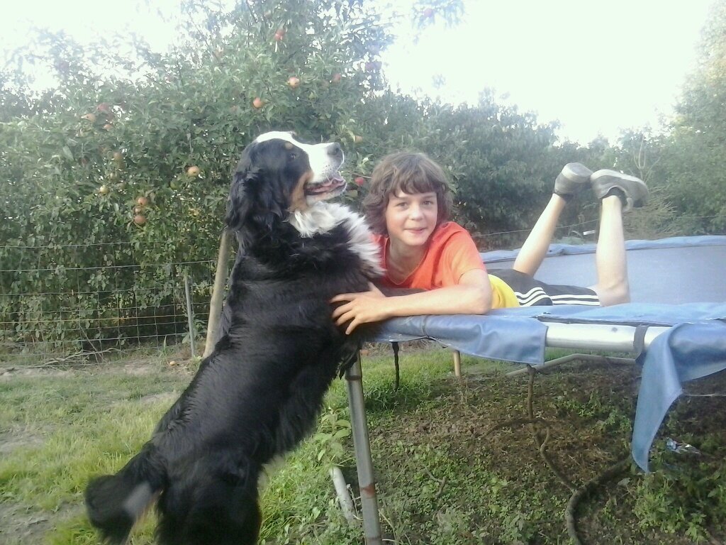hoi /klas 2b